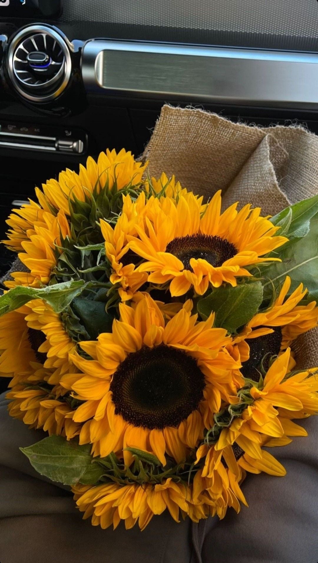 10 Sunflowers