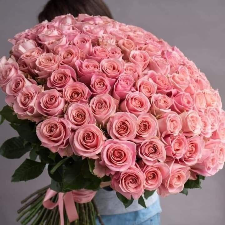 51 Pink Roses