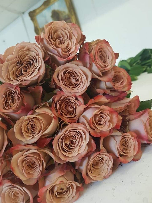101 Cappuccino Roses