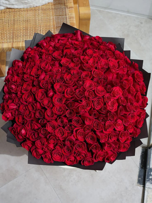 1001 Premium Red Roses