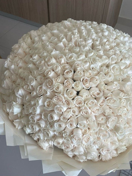 1001 White Roses