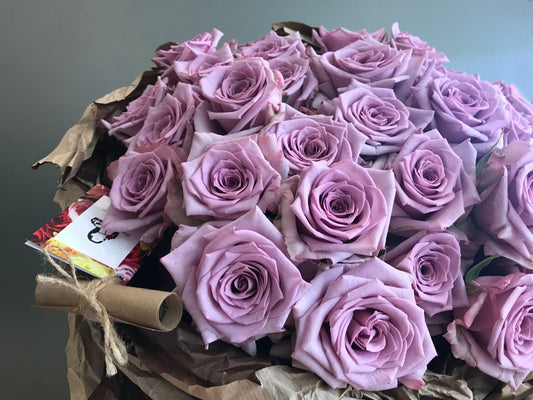 51 Purple Roses