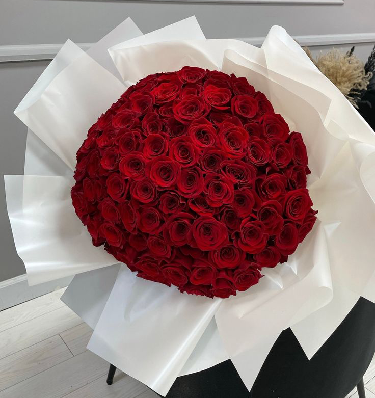 151 Premium Red Roses