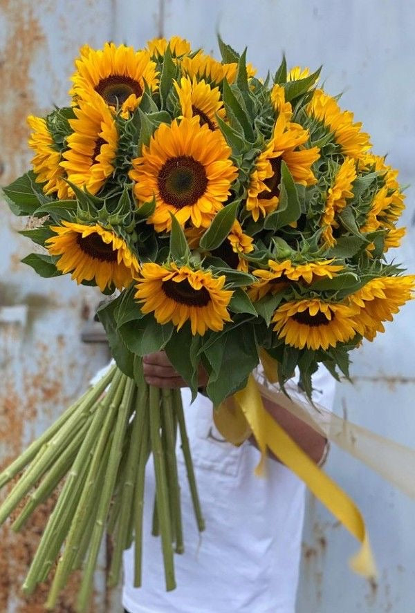 Under 300 AED
