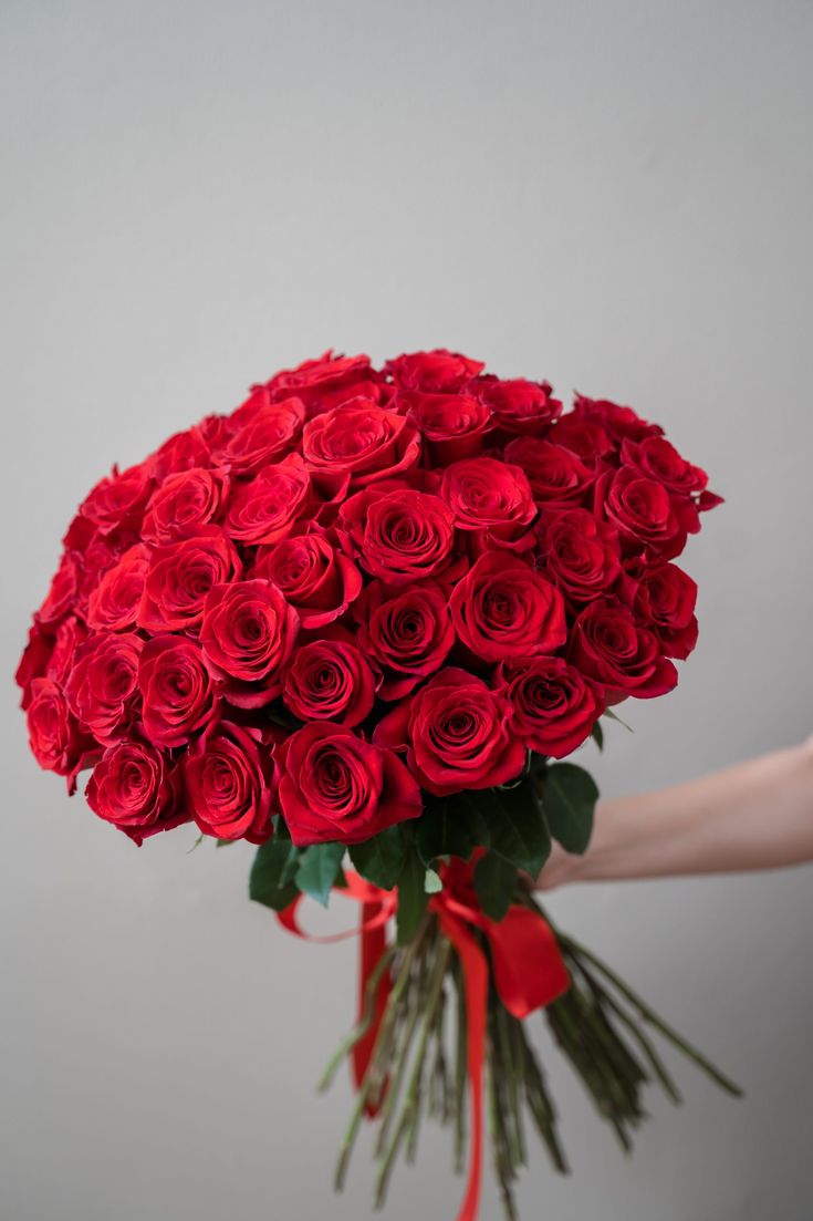 31 Premium Red Roses