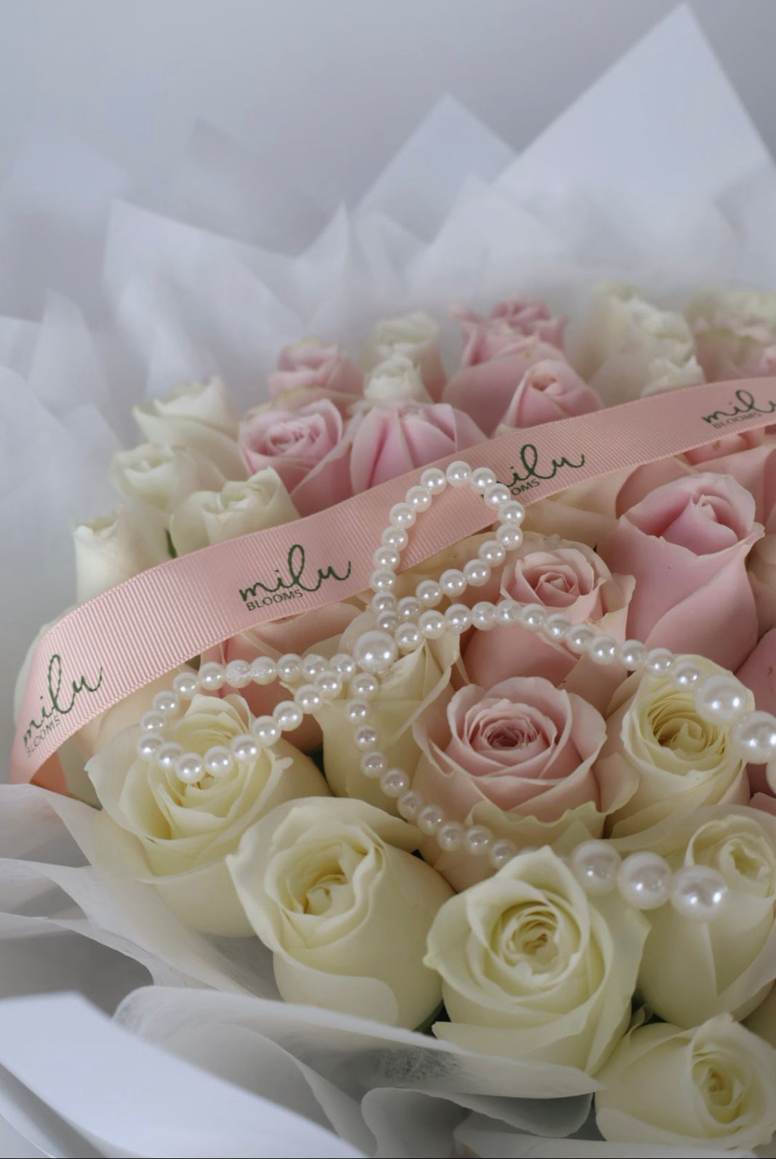 51 Pink & White Roses