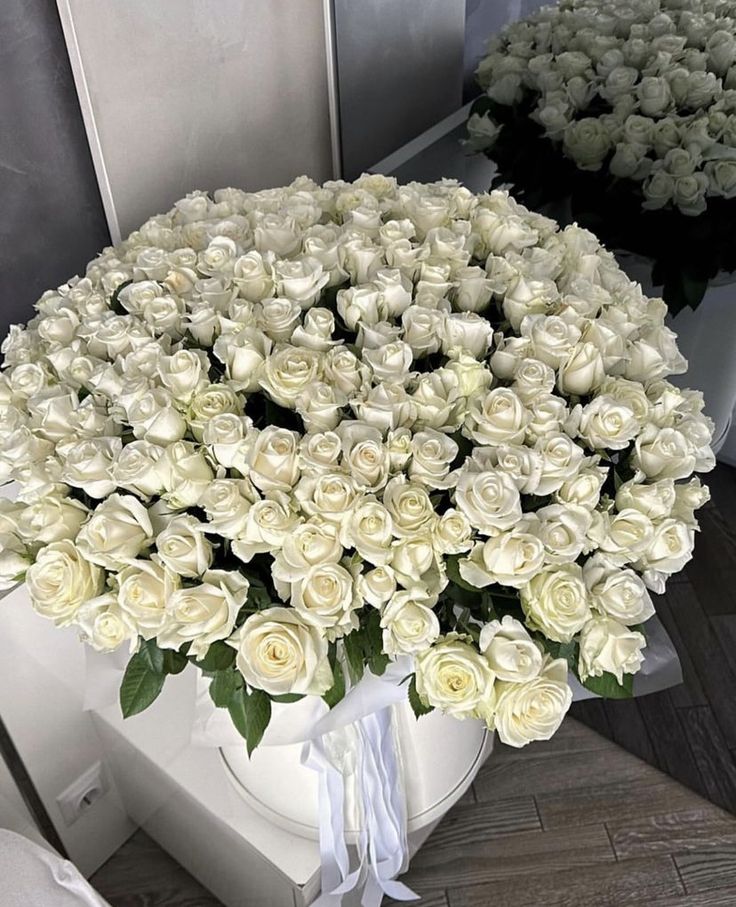 151 White Roses
